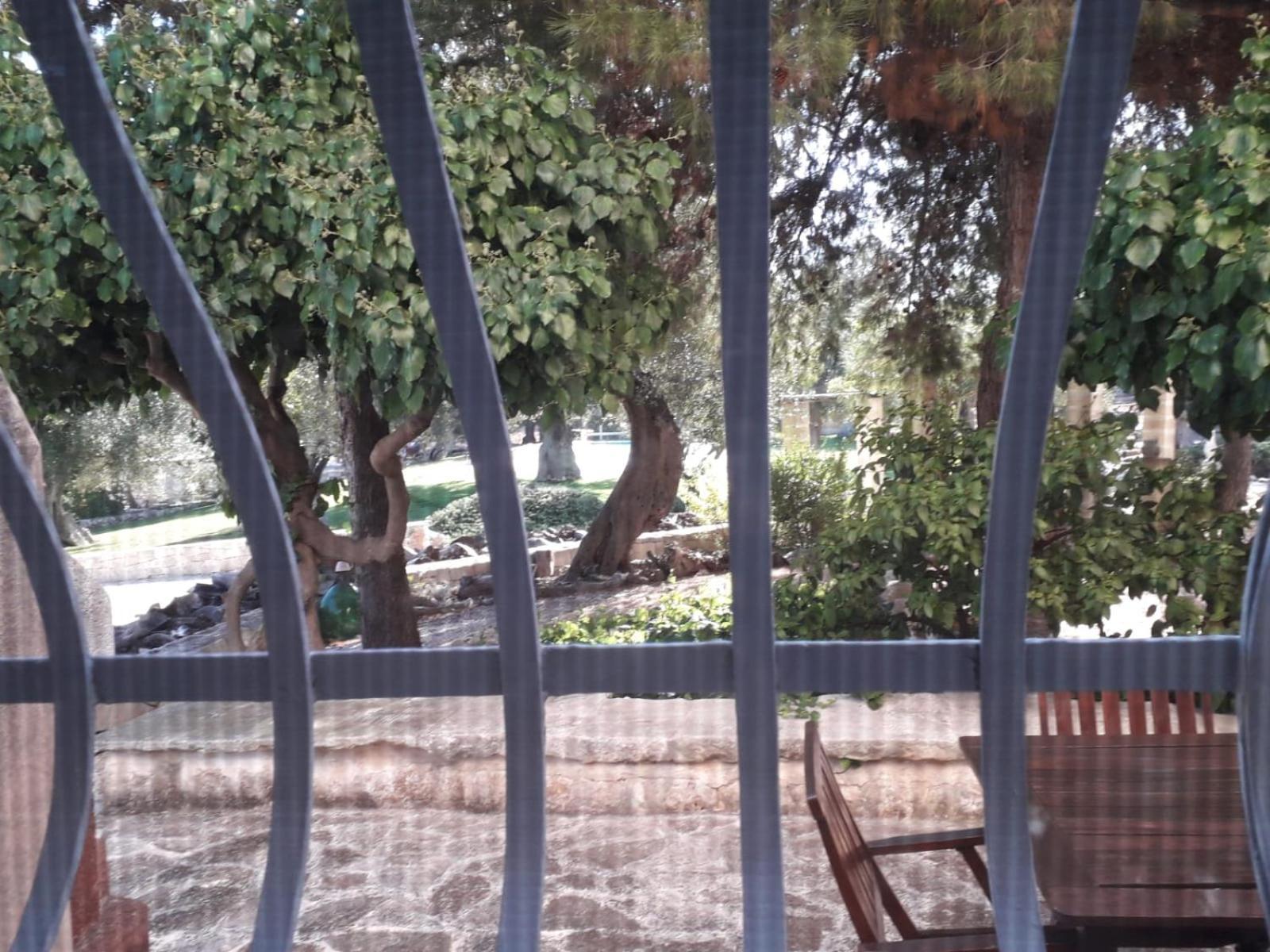 مونوبولي Masseria Due Torri الغرفة الصورة
