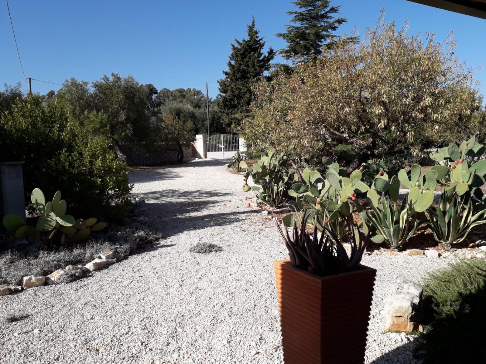مونوبولي Masseria Due Torri الغرفة الصورة