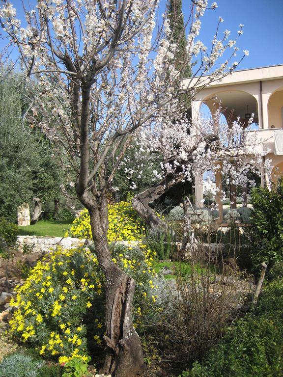 مونوبولي Masseria Due Torri الغرفة الصورة