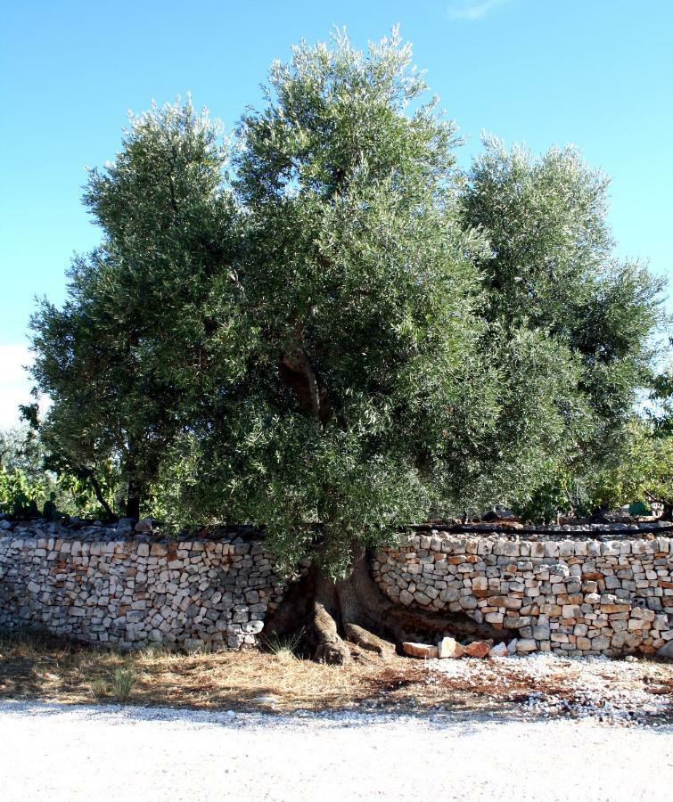 مونوبولي Masseria Due Torri المظهر الخارجي الصورة