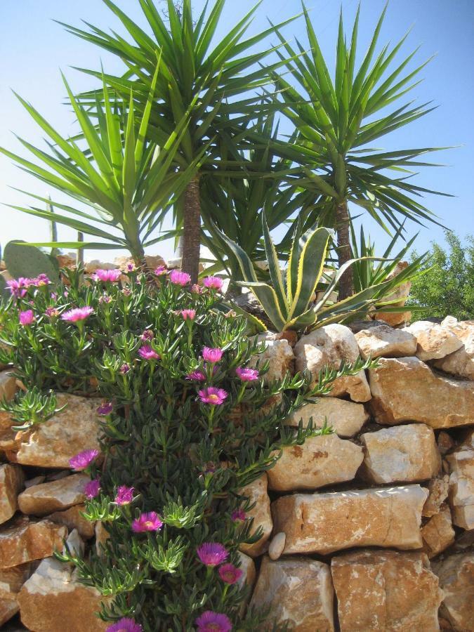 مونوبولي Masseria Due Torri المظهر الخارجي الصورة